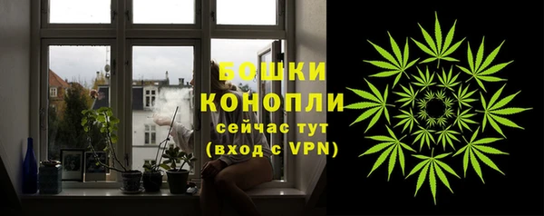 МДПВ Мегион
