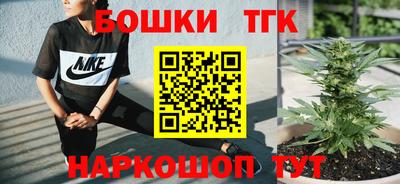 молекула духа Жуковский