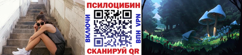 Галлюциногенные грибы Psilocybe Мытищи