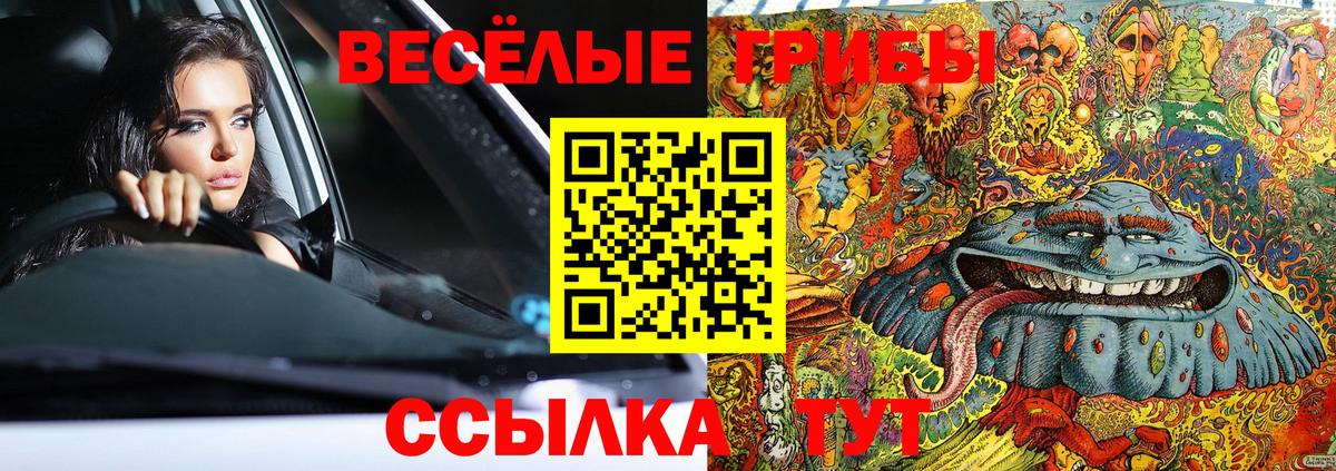 Галлюциногенные грибы мухоморы  Галлюциногенные грибы Psilocybine cubensis  Мытищи  где купить   Вход с VPN 