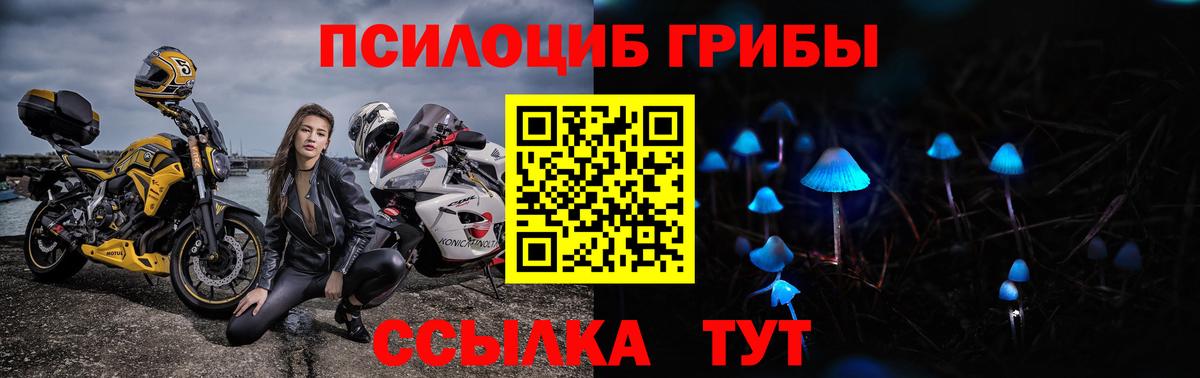 Псилоцибиновые грибы прущие грибы Мытищи