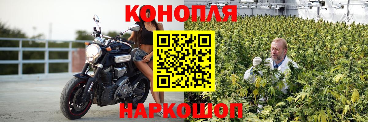 Шишки марихуана Amnesia Мытищи